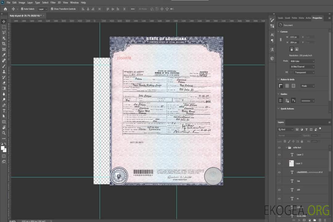 Acte de naissance en Louisiane aux États-Unis template